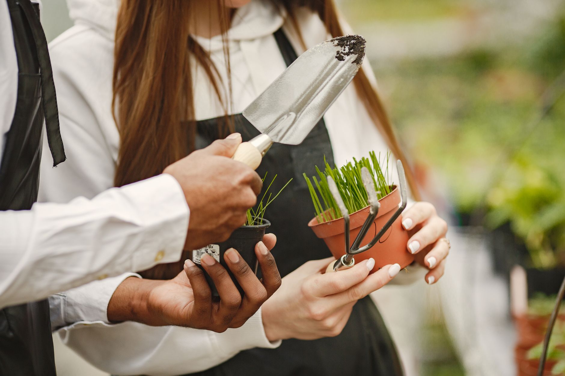 People planting in a community garden