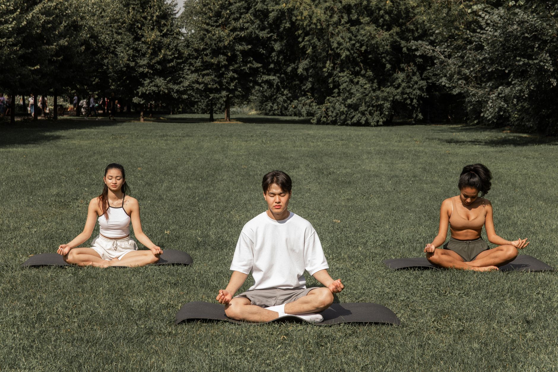 A group doing yoga outdoors